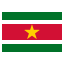 Flag of Suriname